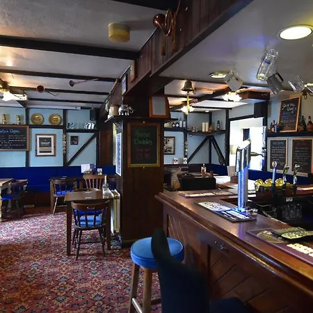 The 3* Bugle